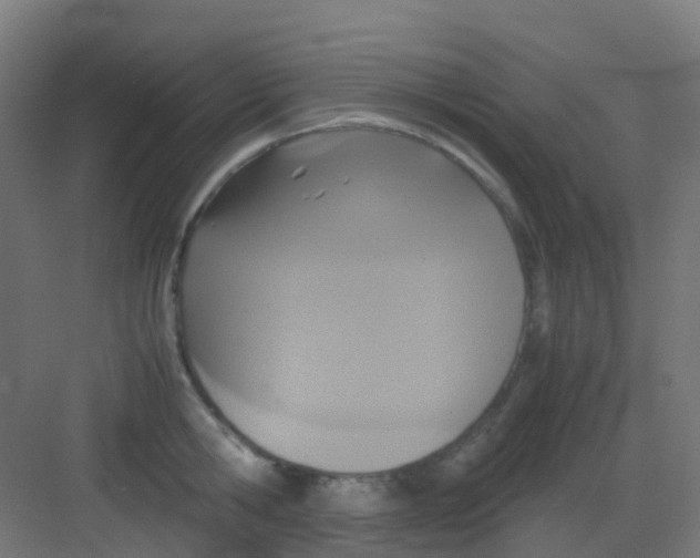 X0000081370806200702082345