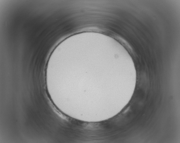 X0000081370808200702082344