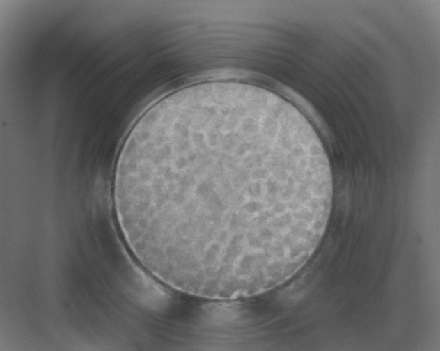 X0000081370810200702082344