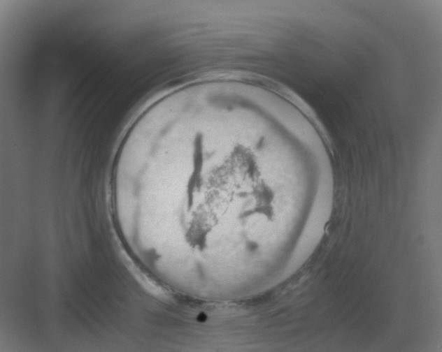 X0000081370811200702082344