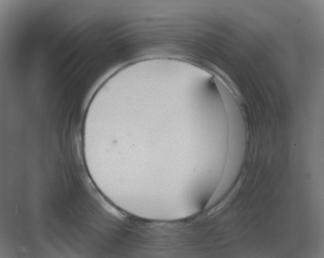 X0000081370812200702082344