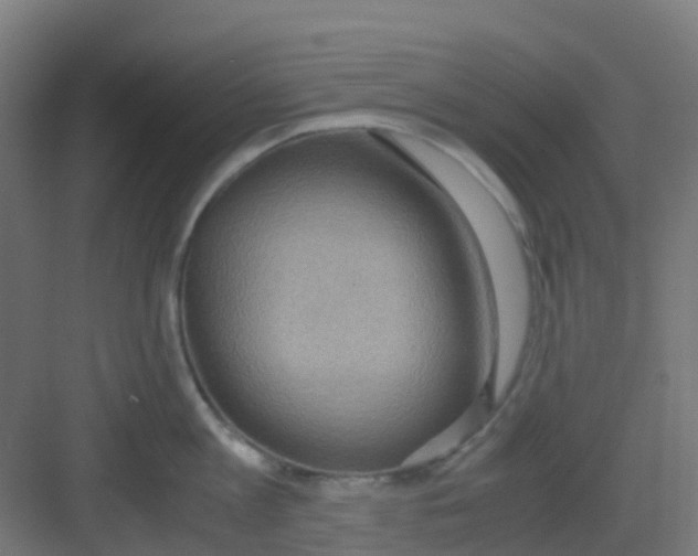 X0000081370813200702082344