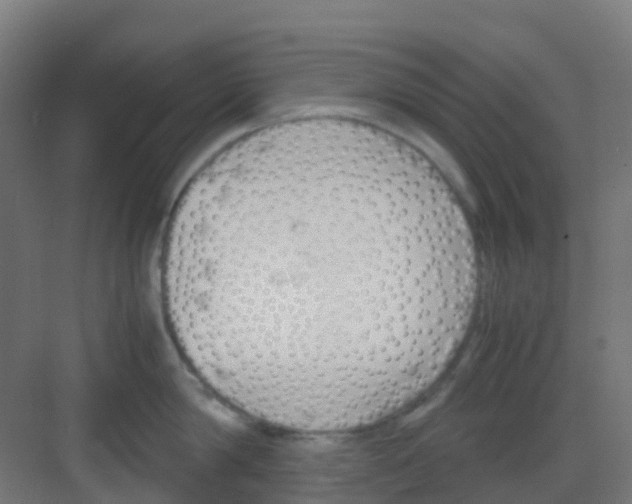 X0000081370814200702082344