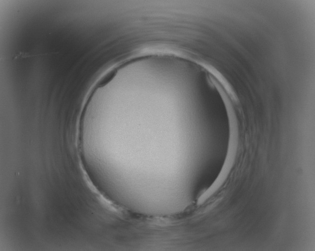 X0000081370815200702082344