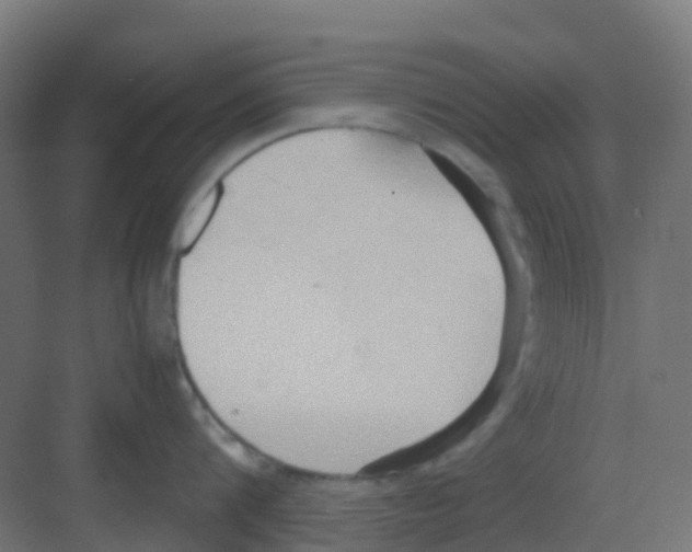 X0000081370816200702082344