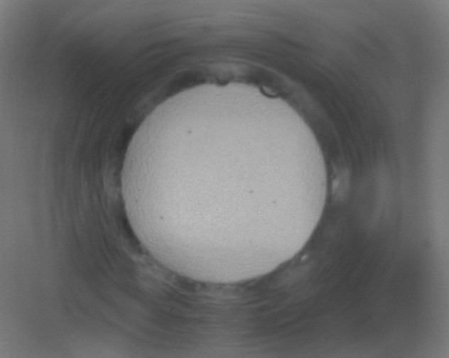 X0000081370819200702082344