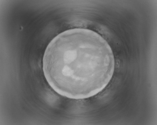 X0000081370820200702082344