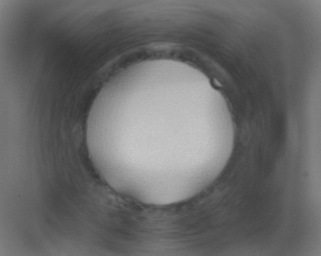 X0000081370821200702082344