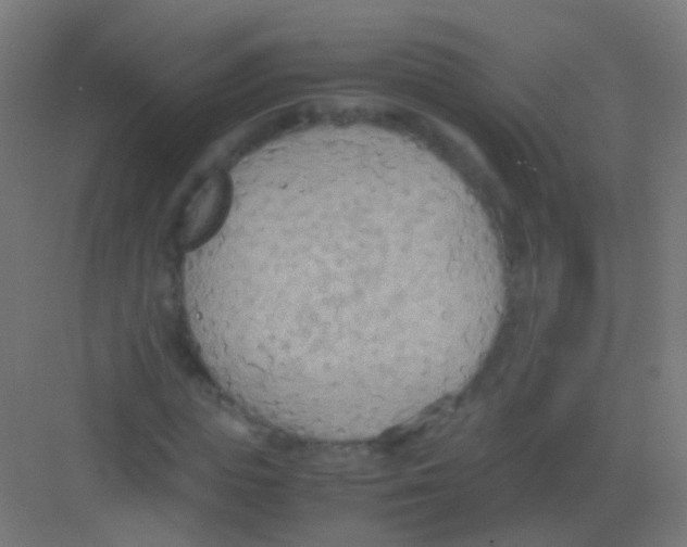 X0000081370823200702082344