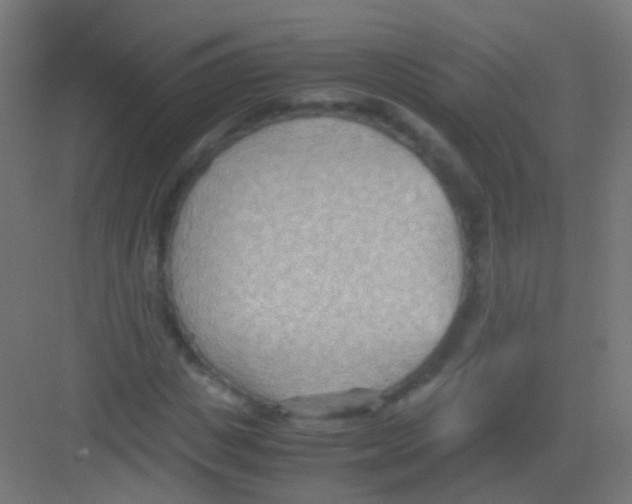 X0000081370825200702082344