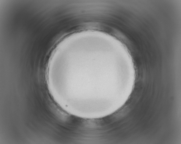 X0000081370828200702082344