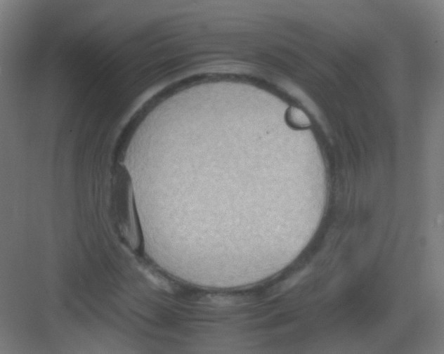 X0000081370829200702082344