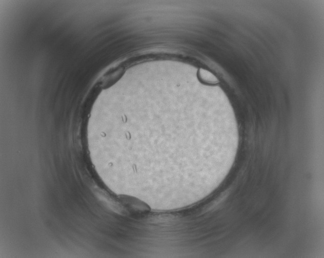 X0000081370830200702082344