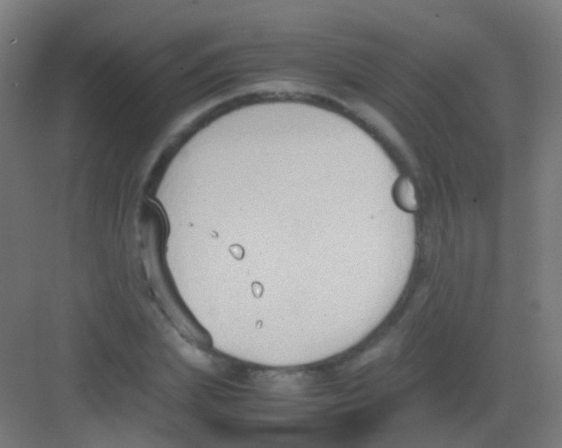 X0000081370831200702082344