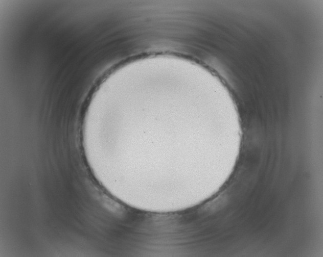 X0000081370832200702082344