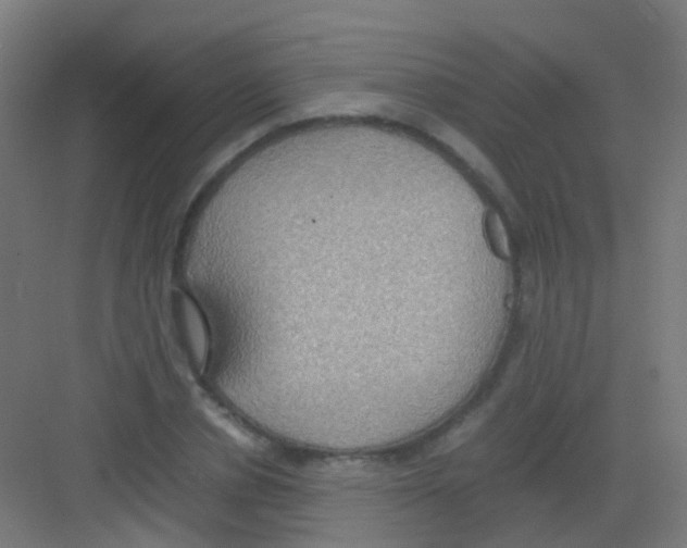 X0000081370834200702082344