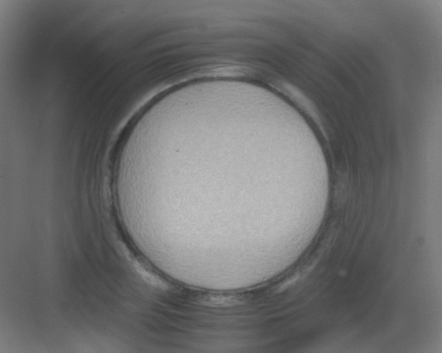 X0000081370835200702082344