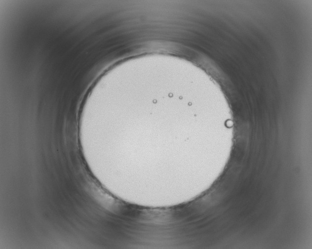 X0000081370836200702082344