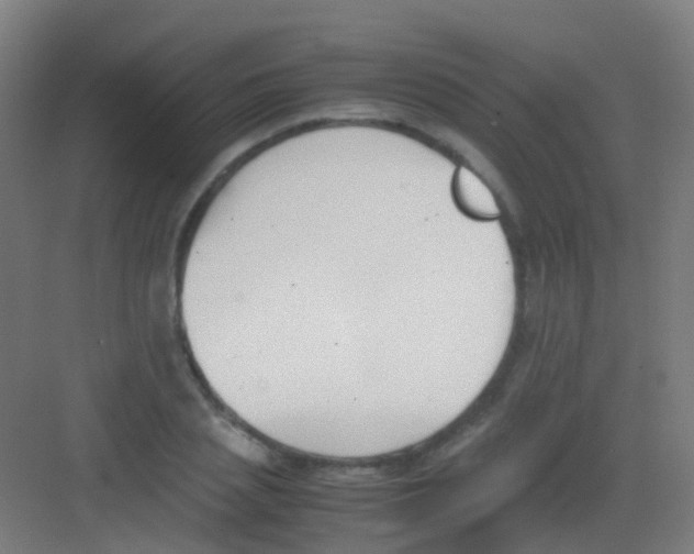 X0000081370837200702082344