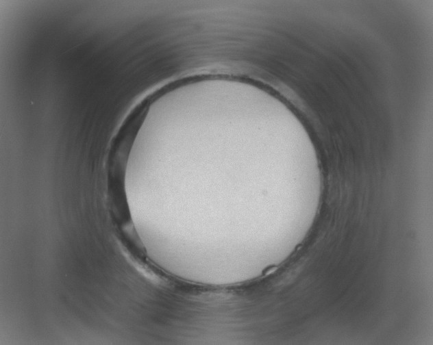 X0000081370838200702082344