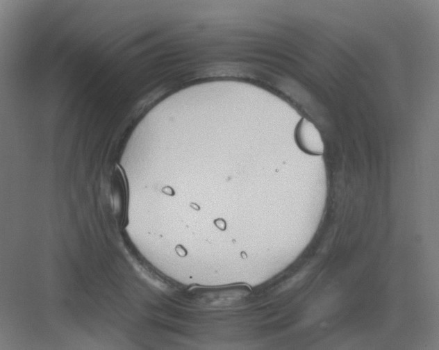 X0000081370841200702082344