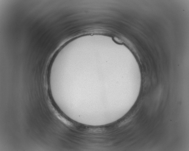 X0000081370843200702082344