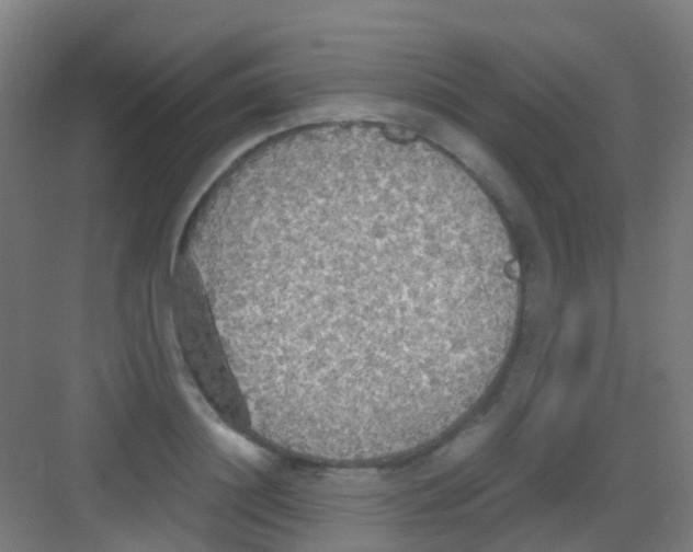 X0000081370844200702082344