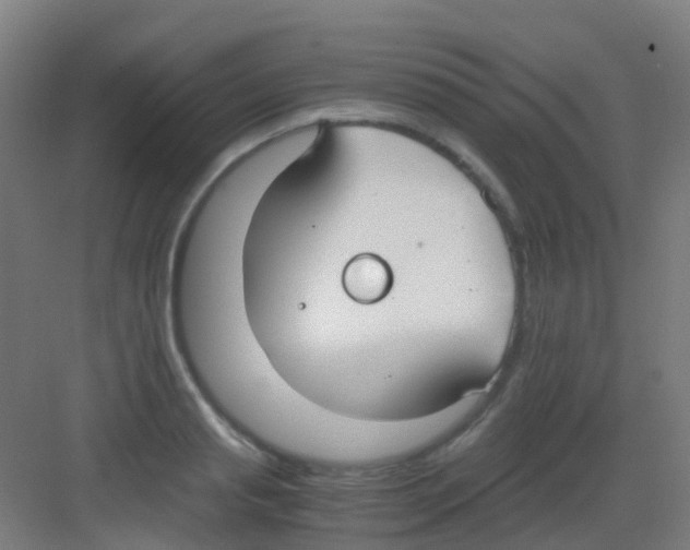 X0000081370845200702082344