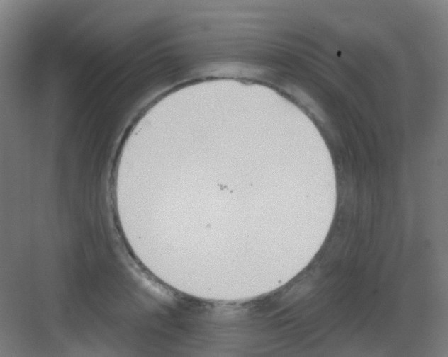 X0000081370848200702082344