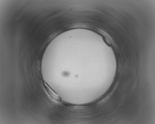 X0000081370849200702082344