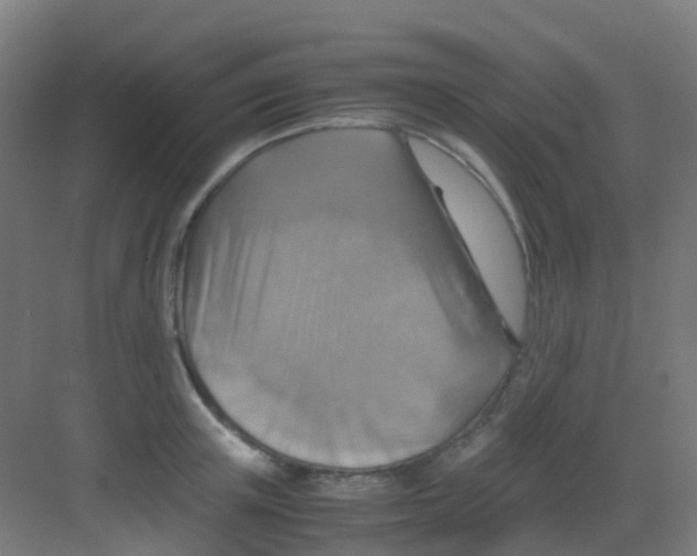 X0000081370851200702082344