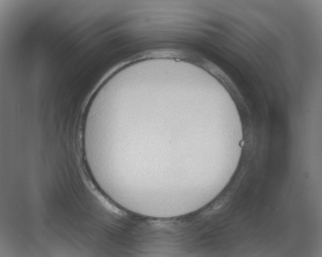 X0000081370852200702082344