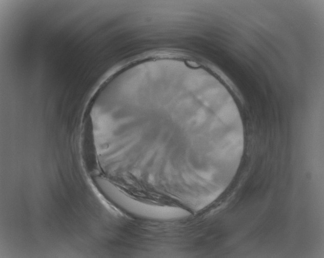 X0000081370853200702082344