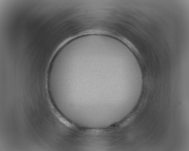 X0000081370854200702082344