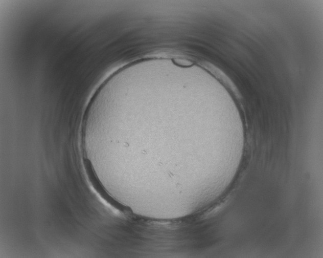 X0000081370855200702082344