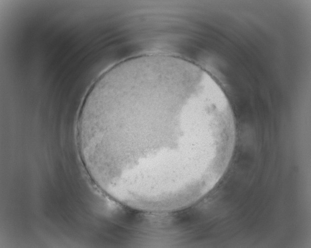 X0000081370856200702082344