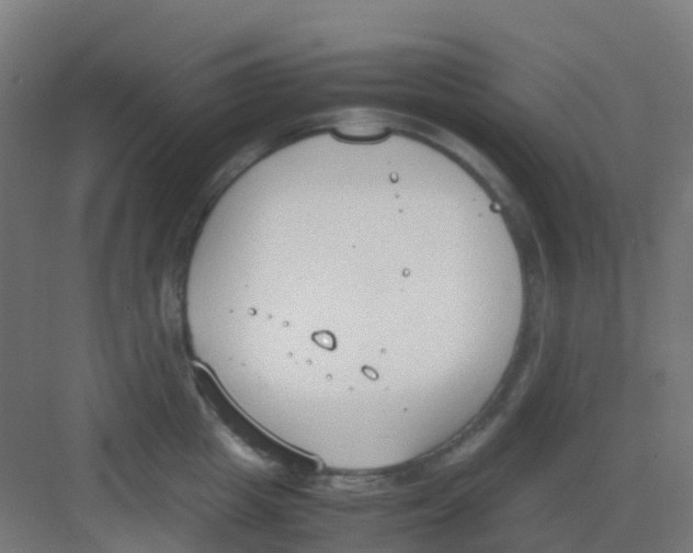 X0000081370857200702082344