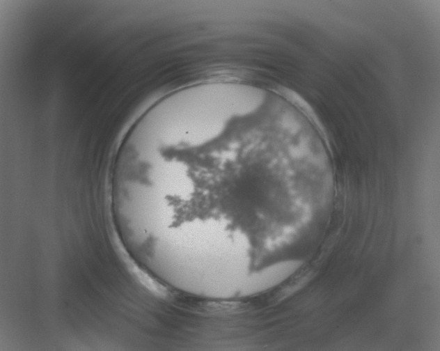 X0000081370859200702082344