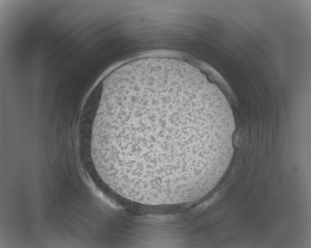 X0000081370860200702082344