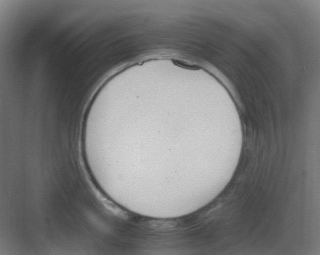 X0000081370861200702082344