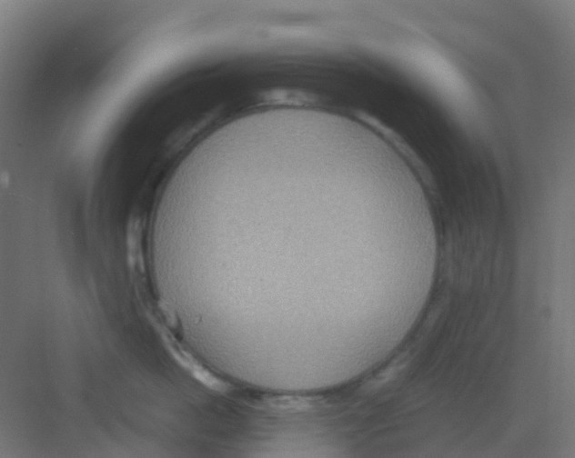 X0000081370862200702082344