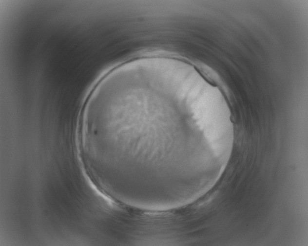 X0000081370863200702082344