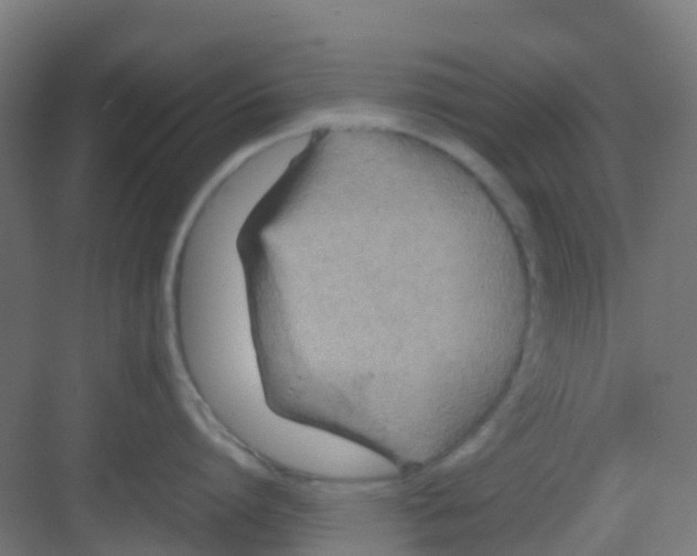 X0000081370864200702082344