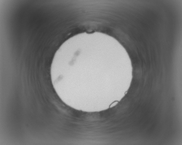 X0000081370865200702082344