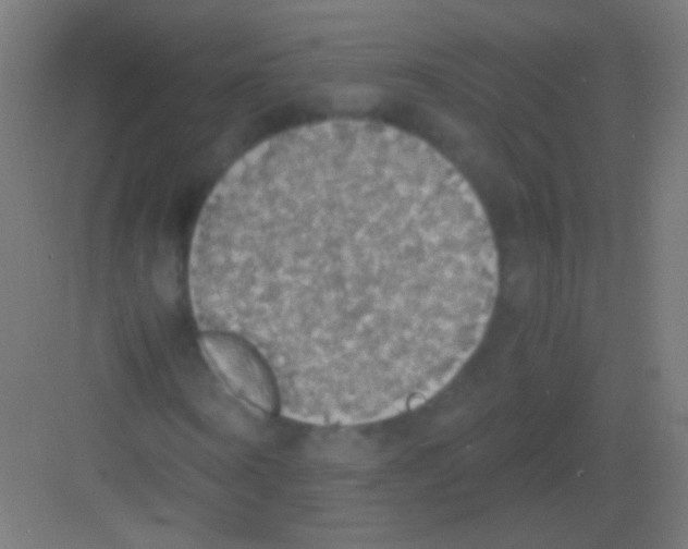 X0000081370866200702082344