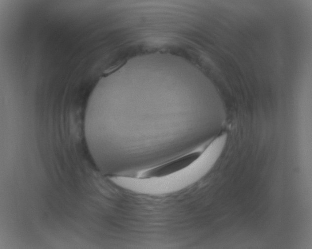 X0000081370868200702082343