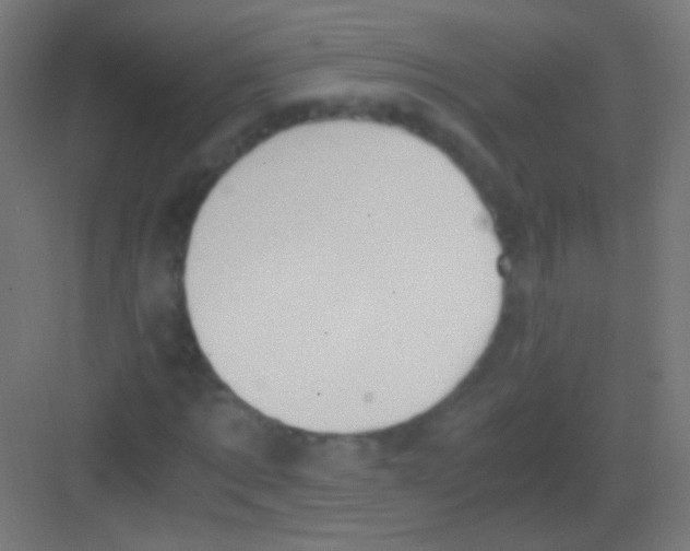 X0000081370869200702082343