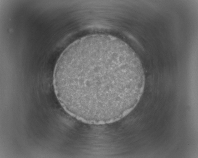 X0000081370870200702082343