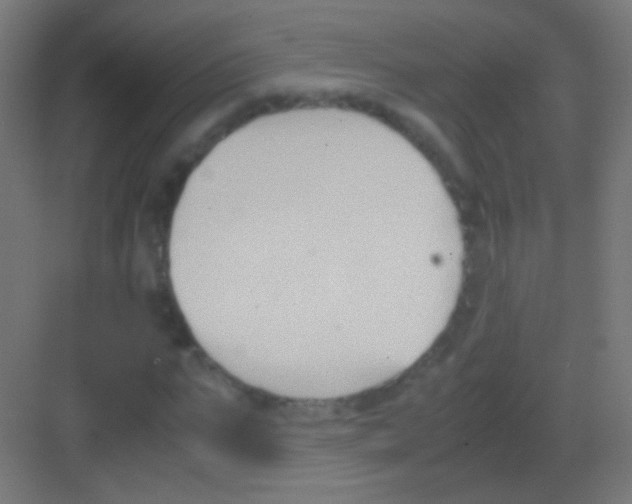 X0000081370871200702082343