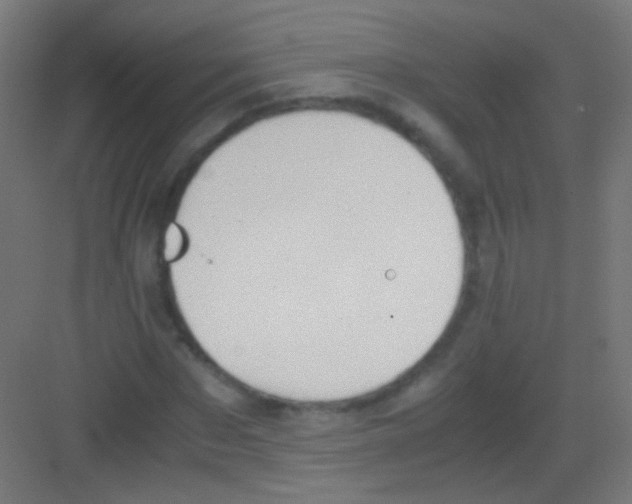 X0000081370873200702082343